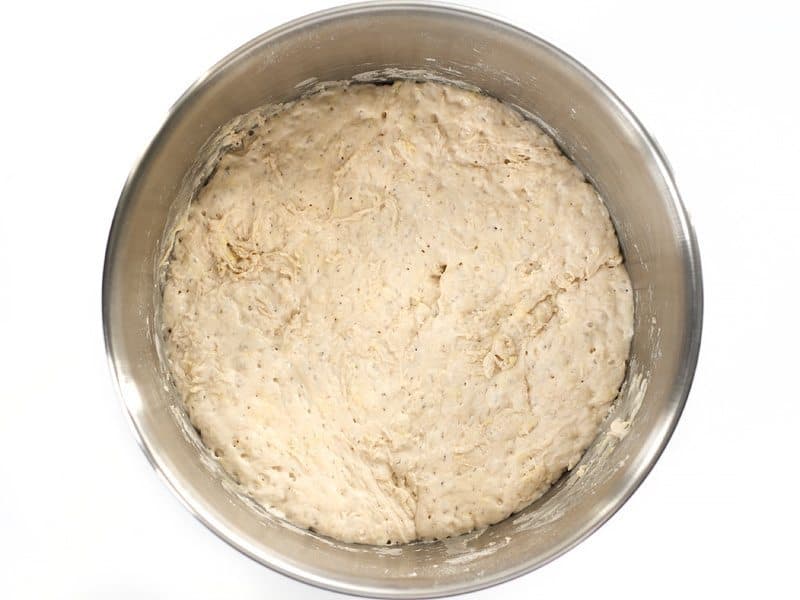 Fermented Dough in bowl 