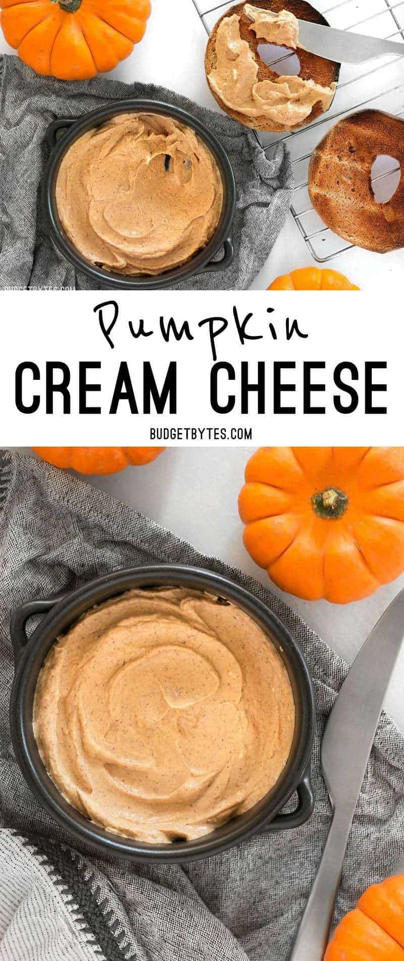 Pumpkin cream cheese spread is the perfect autumn spread for bagels, toast, graham crackers, or even dipping apples. BudgetBytes.com