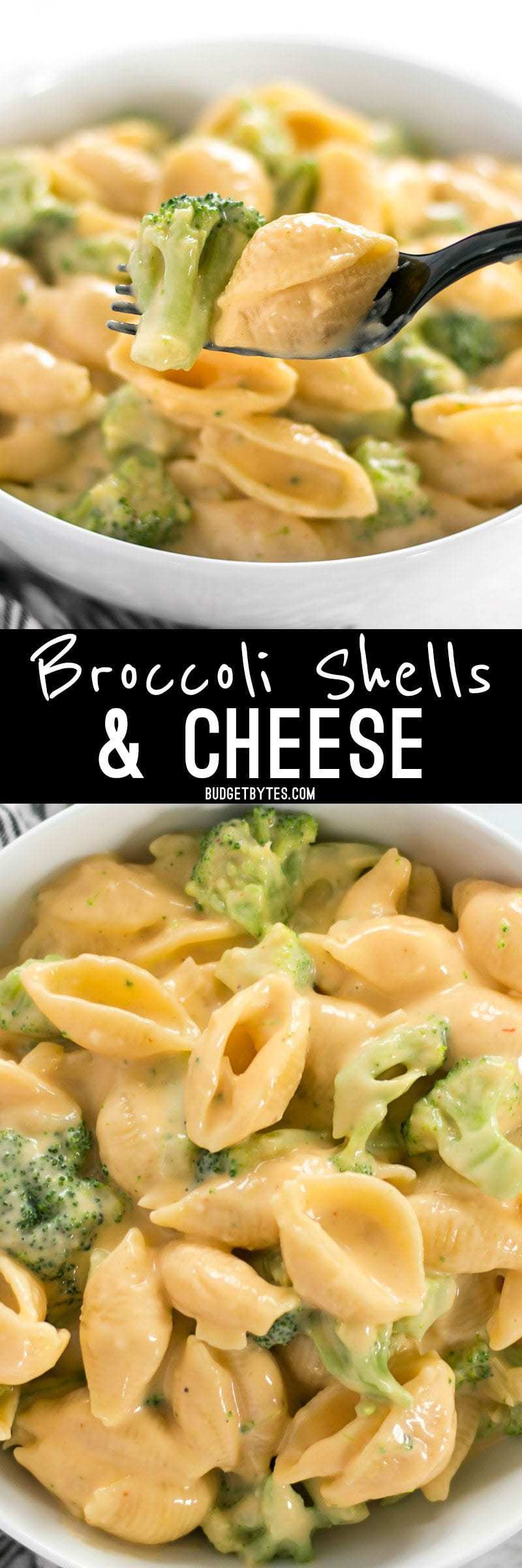 Broccoli shells n' cheese is a classic American dish that goes well along side any meal, or as a hearty side dish. 100% real, 100% homemade. BudgetBytes.com