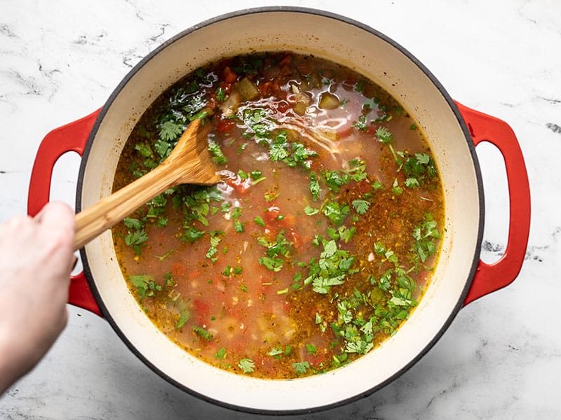 Stir fresh cilantro into the soup