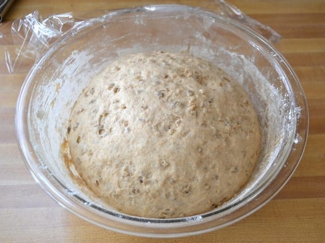 dough ball placed back into bowl to let rise 