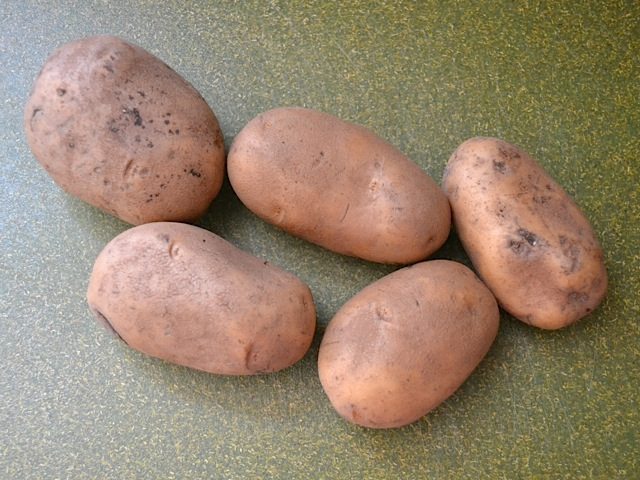 Russet Potatoes