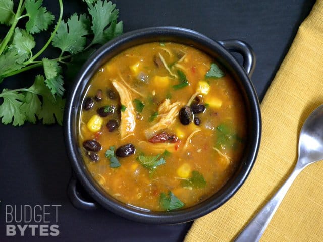 Top view of a bowl of Chicken & Pumpkin Soup