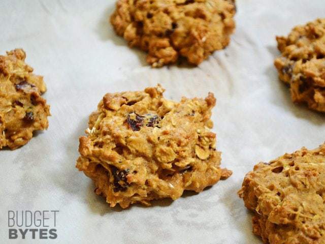 Oatmeal Pumpkin Cookies on paper towel 