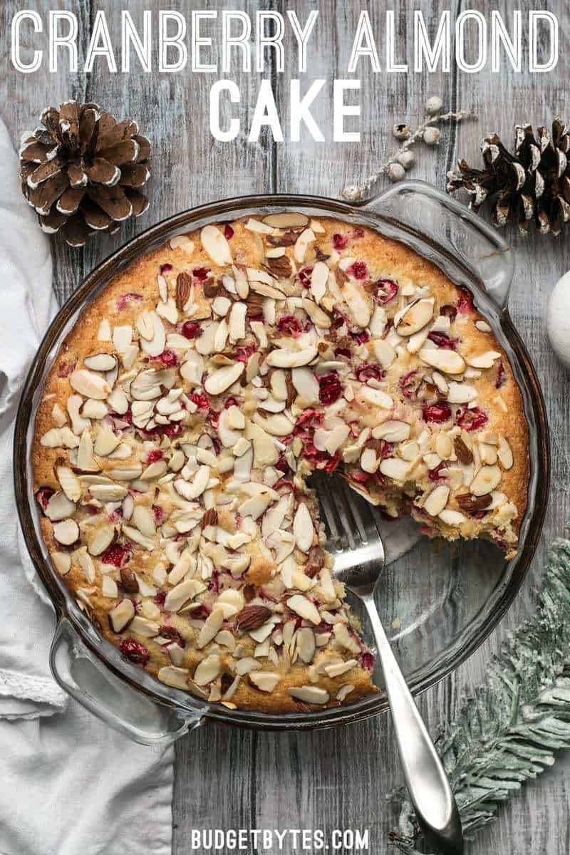 This Cranberry Almond Cake is super fast to prepare and the perfect festive dessert for the holiday season. BudgetBytes.com