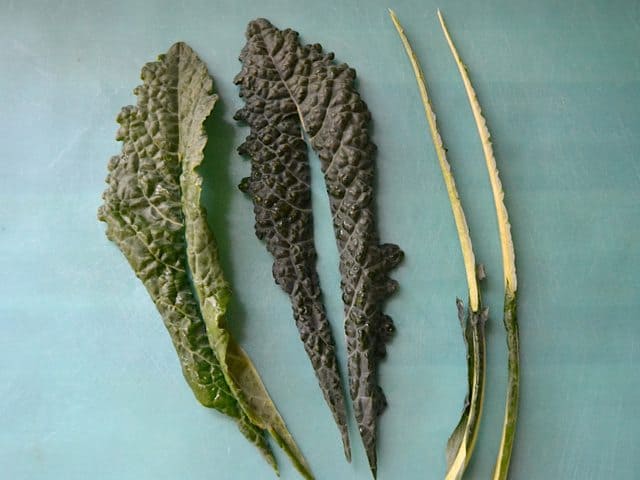 Removing stems from kale leaves 