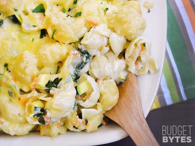 Close up of Vegetable Alfredo Pasta Bake