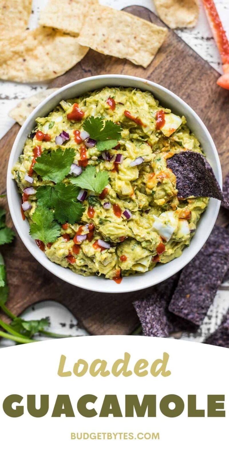 Overhead view of a bowl of loaded guacamole with title text at the bottom.