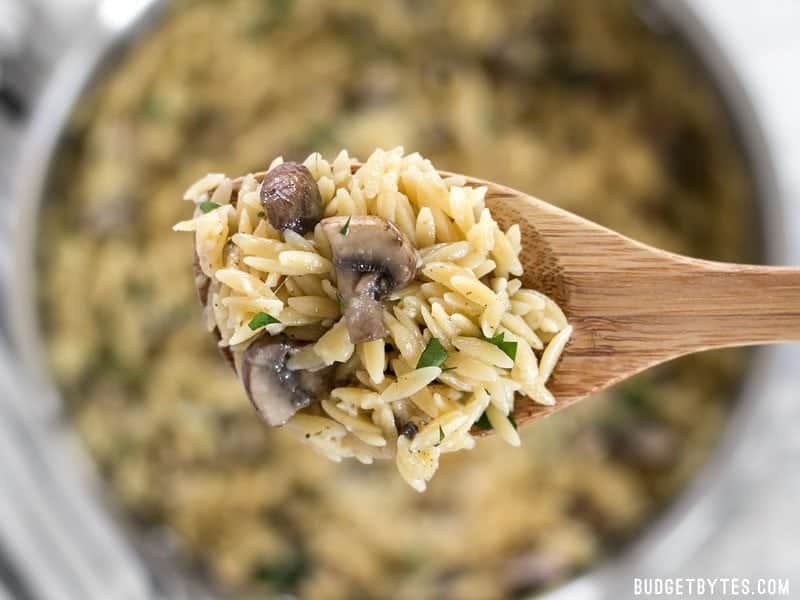 A spoonful of Parmesan Portobello Orzo with the skillet in the background