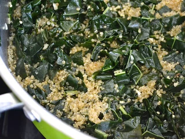 Close up of cooked Quinoa