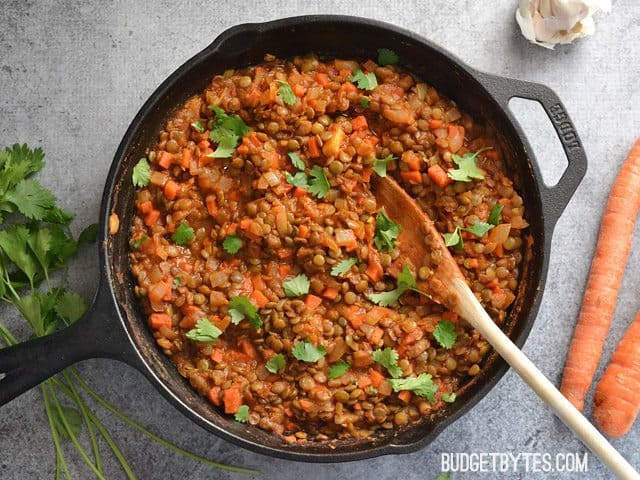 A bowl of curried lentils garnished with herbs.