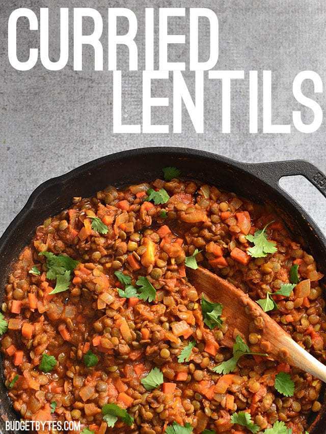 Curried Lentils - BudgetBytes.com