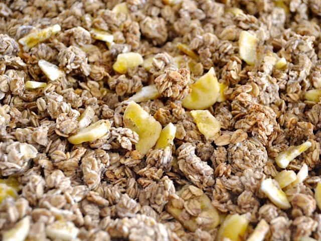 Baked Banana Nut Granola with banana chips sprinkled on