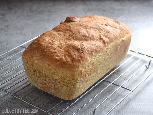 Loaf of English Muffin Bread on cooling rack 