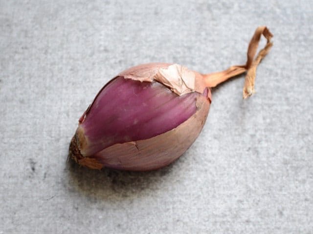 Shallot on counter top 