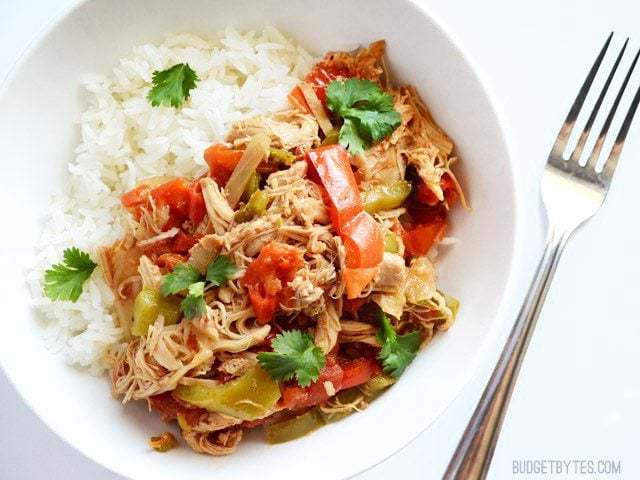 A close-up of chicken ropa vieja served with rice.