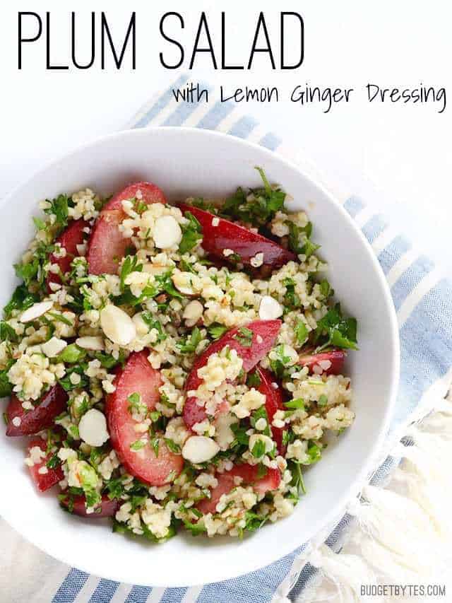 Plum Salad with Lemon Ginger Dressing - BudgetBytes.com