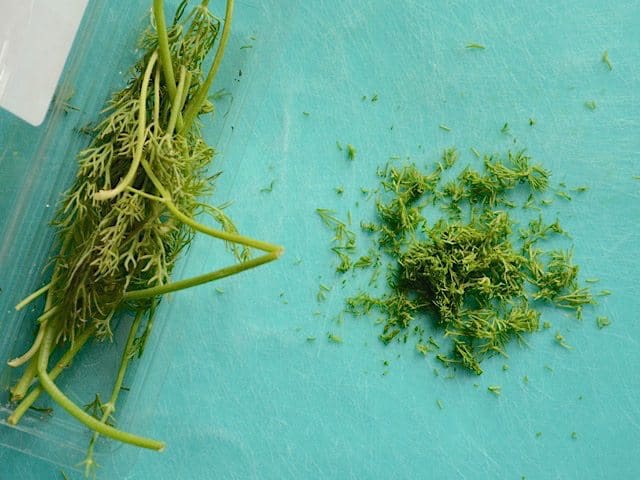 Chopped Fresh Dill