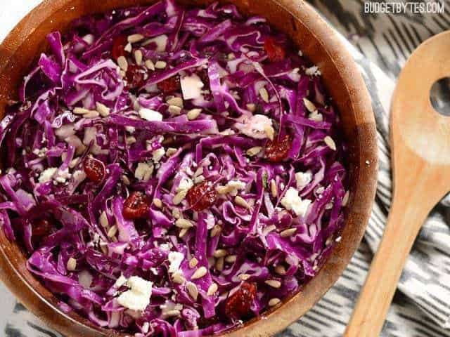 A close-up of cabbage and cranberry salad in a bowl.