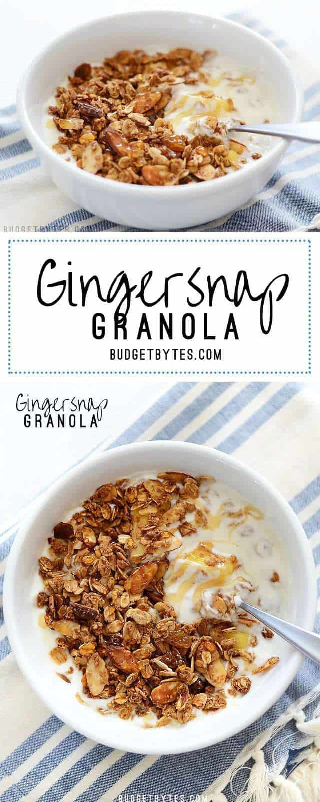 Gingersnap Granola - BudgetBytes.com