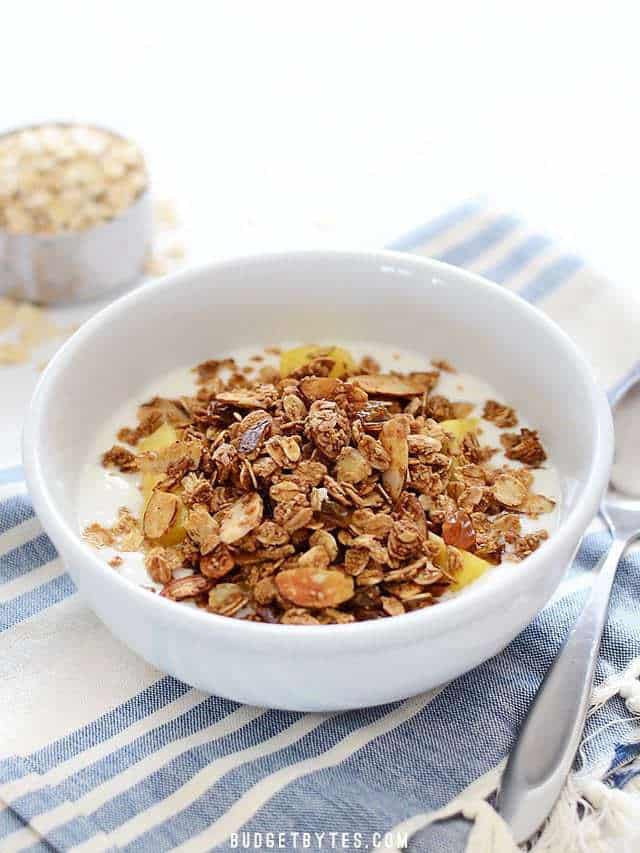 Side view of a bow of Gingersnap Granola with a spoon on the side