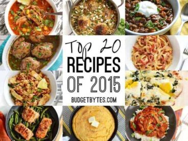 Top 20 Recipes of 2015 - BudgetBytes.com