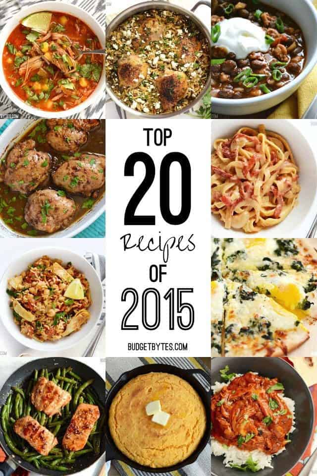 Top 20 Recipes of 2015 - BudgetBytes.com