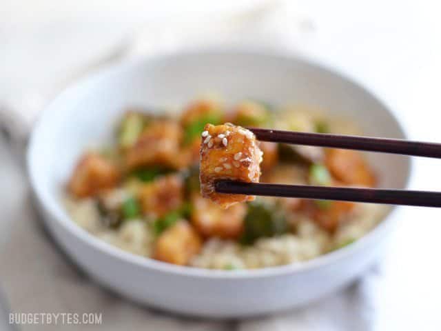 Close up of one cube of pan fried sesame tofu with sesame seeds on top. 