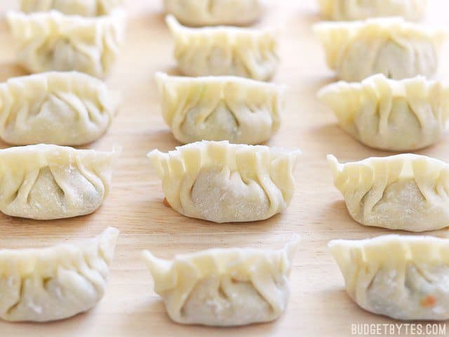 Folded Pork Gyoza on a wooden cutting board ready to be frozen or cooked