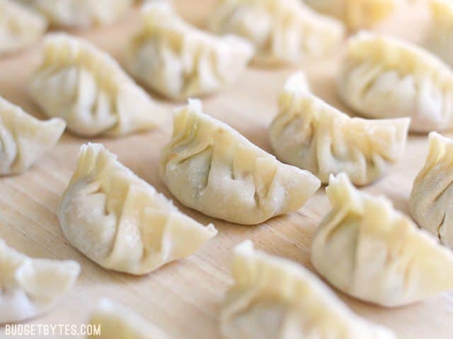 Lineup of pork gyoza arranged neatly on a serving plate.