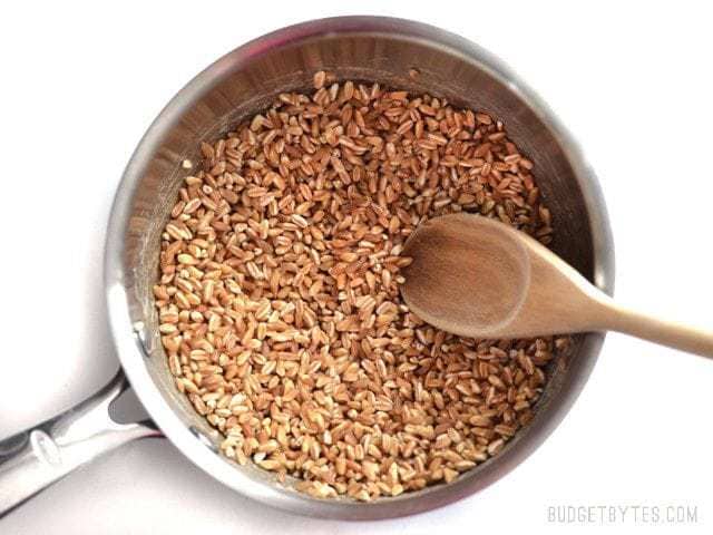 Toast Farro