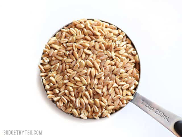 Uncooked Farro