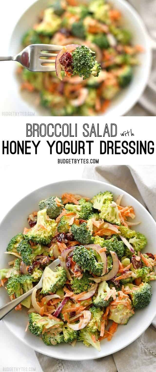 Broccoli Salad with Honey Yogurt Dressing is light and refreshing raw salad for summer. BudgetBytes.com