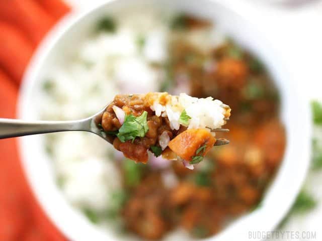 Close up of a forkful of Slow Cooker Coconut Curry Lentils 