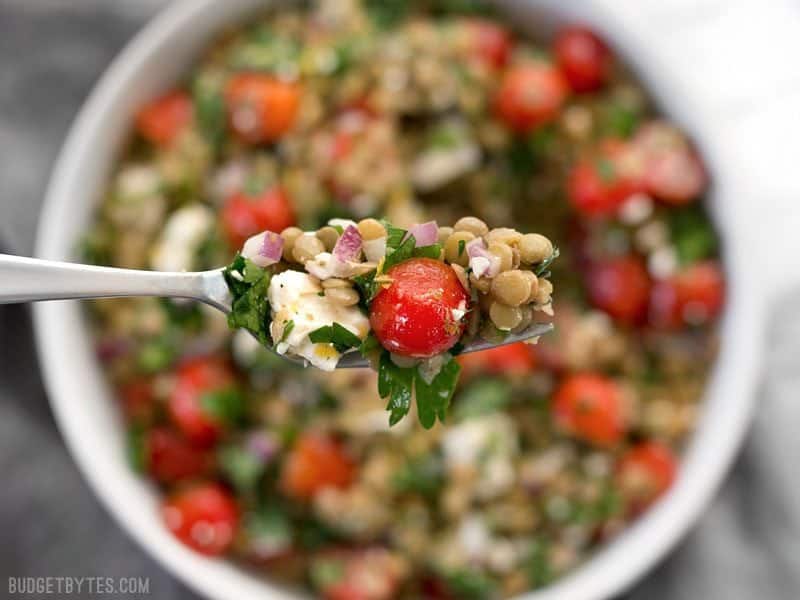 Close up of a forkful of Marinated Lentil Salad, with the full bowl in the background.