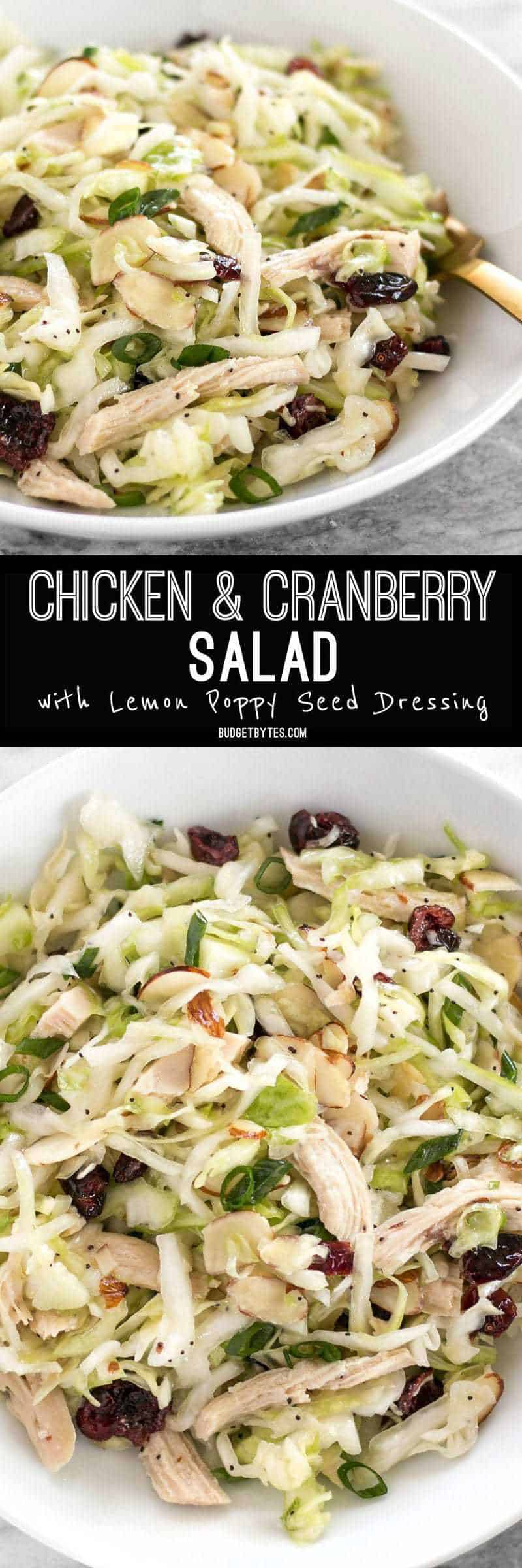 This Chicken and Cranberry Salad combines tender cabbage, nutty almonds, sweet cranberries and a tart lemon poppy seed dressing, plus enough chicken to make it a meal. BudgetBytes.com