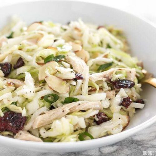 This Chicken and Cranberry Salad combines tender cabbage, nutty almonds, sweet cranberries and a tart lemon poppy seed dressing, plus enough chicken to make it a meal. BudgetBytes.com