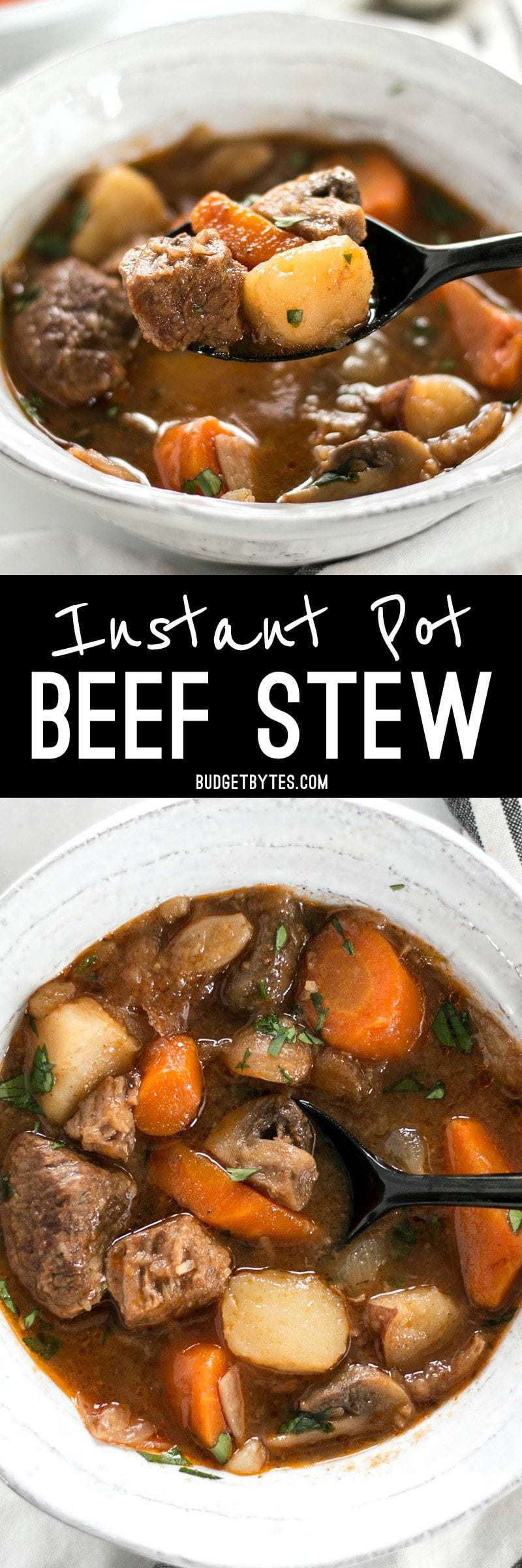 This Instant Pot Beef Stew is incredibly fast and easy, but is packed with slow-cooked flavor. BudgetBytes.com