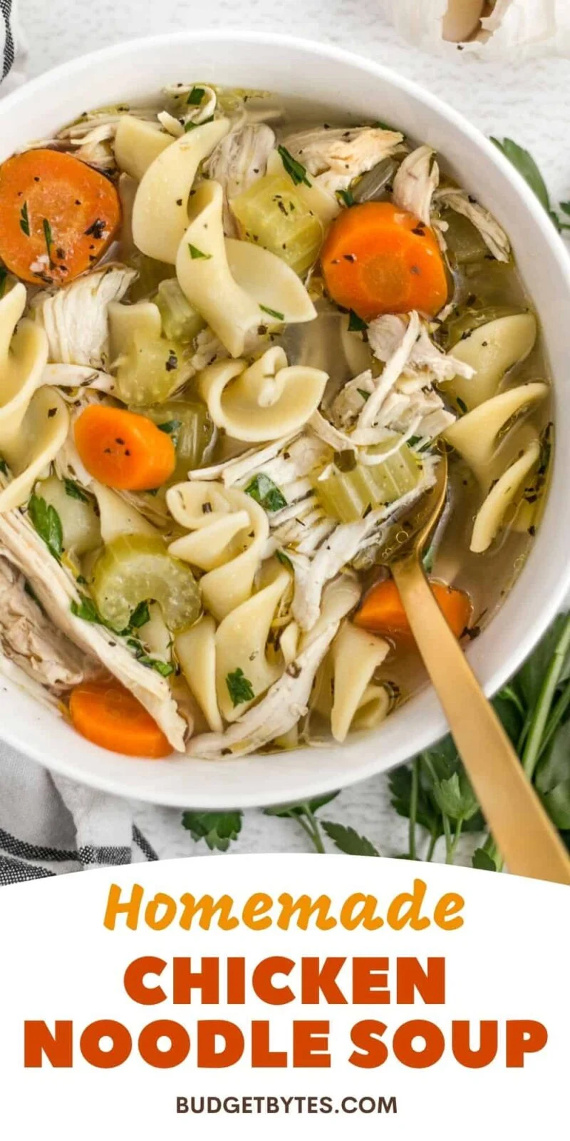 overhead view of a bowl of chicken noodle soup