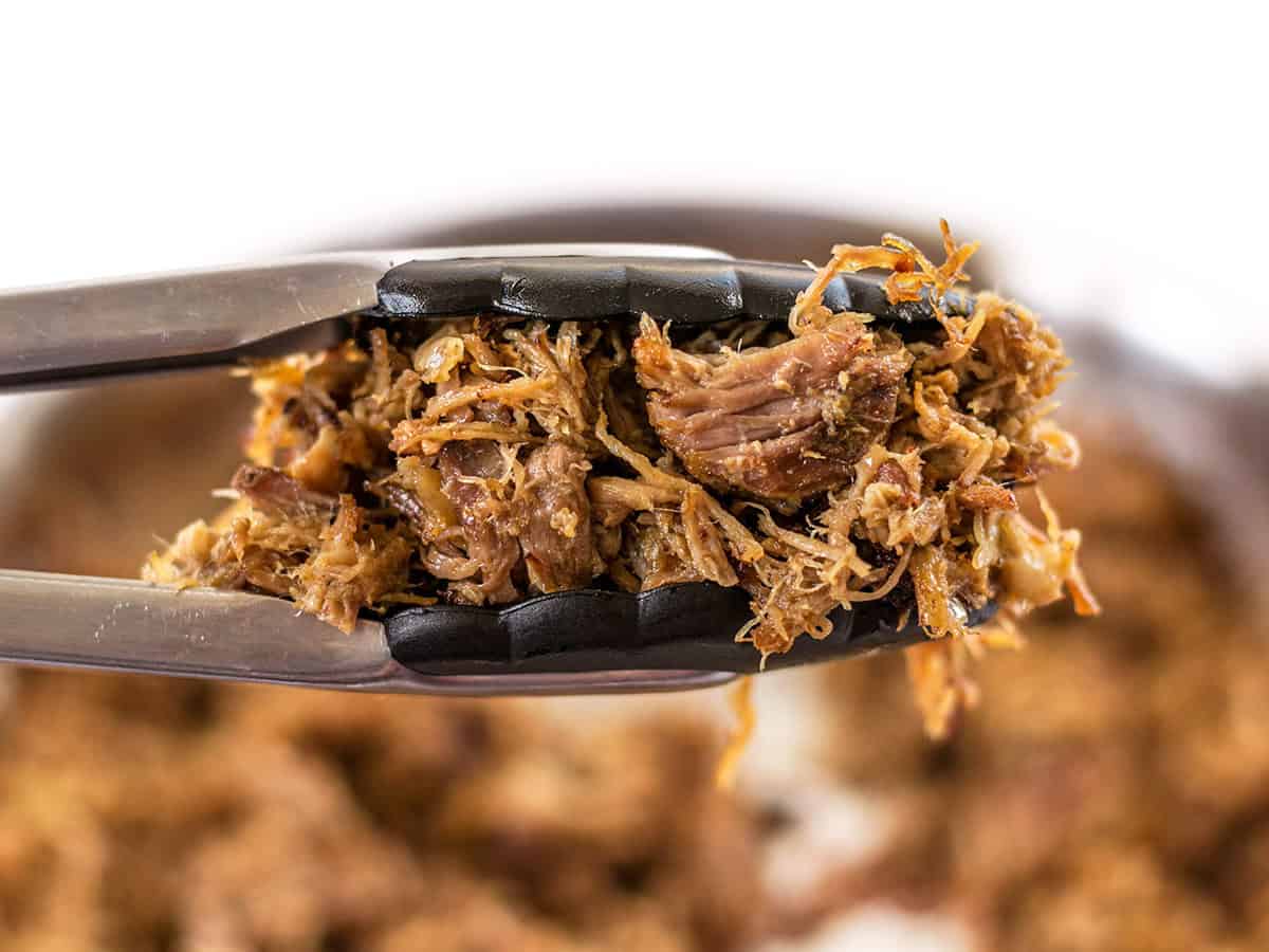 Close up of carnitas held in tongs with a bowl of the pulled pork behind it. 