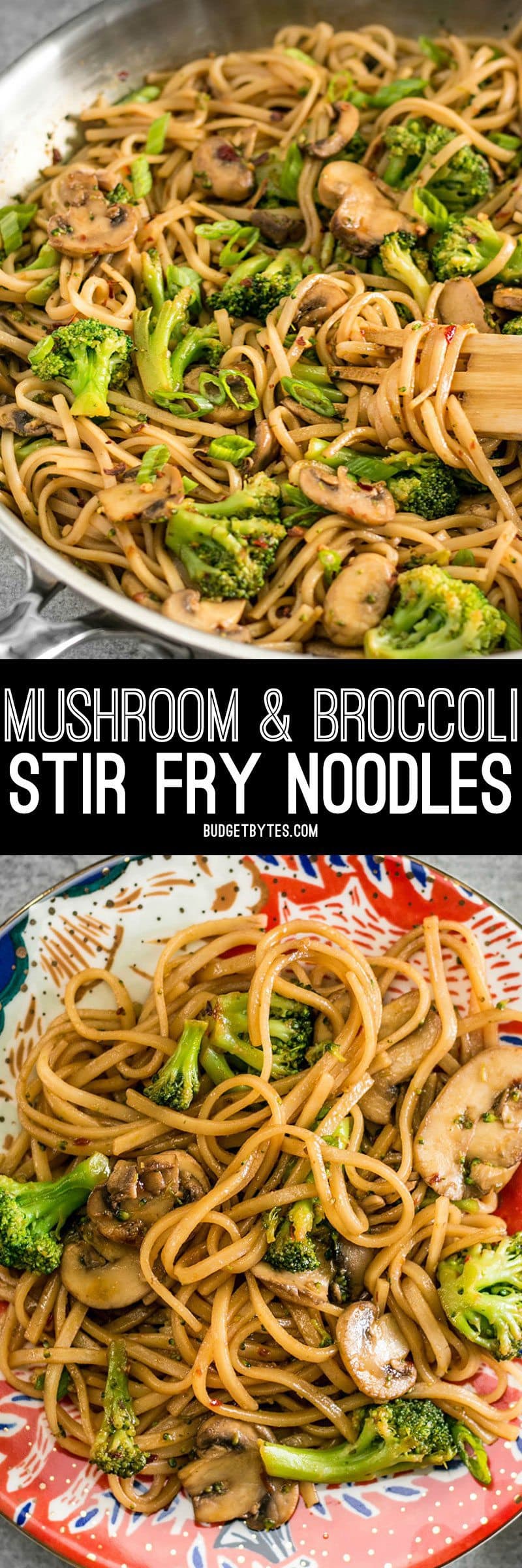 With just a few ingredients you can make these easy and delicious Mushroom Broccoli Stir Fry Noodles for a fast weeknight dinner. BudgetBytes.com