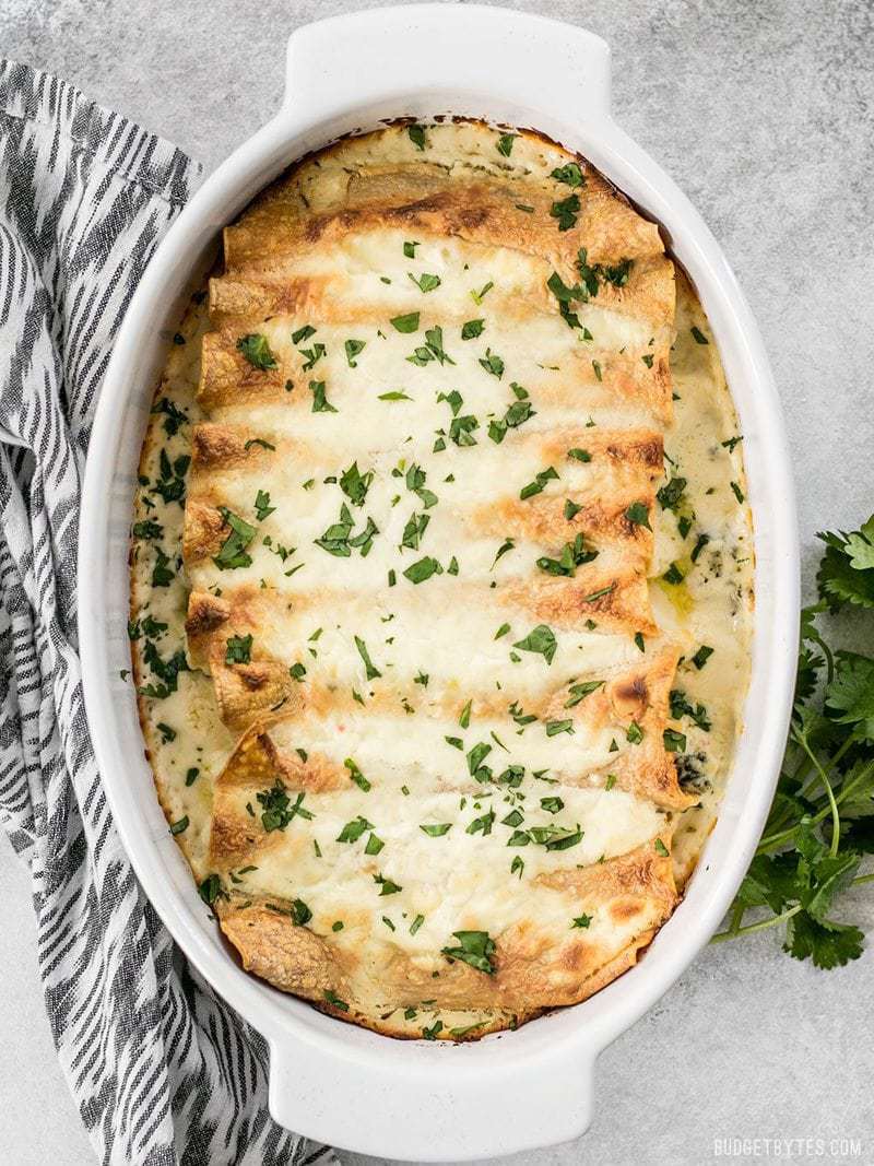 Overhead view of an oval baking dish with Spinach White Bean Enchiladas garnished with cilantro