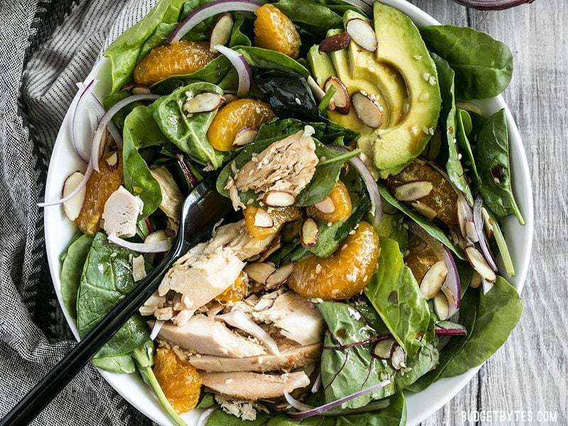 A fork stuck into a bowl of Chicken and Mandarin Salad 