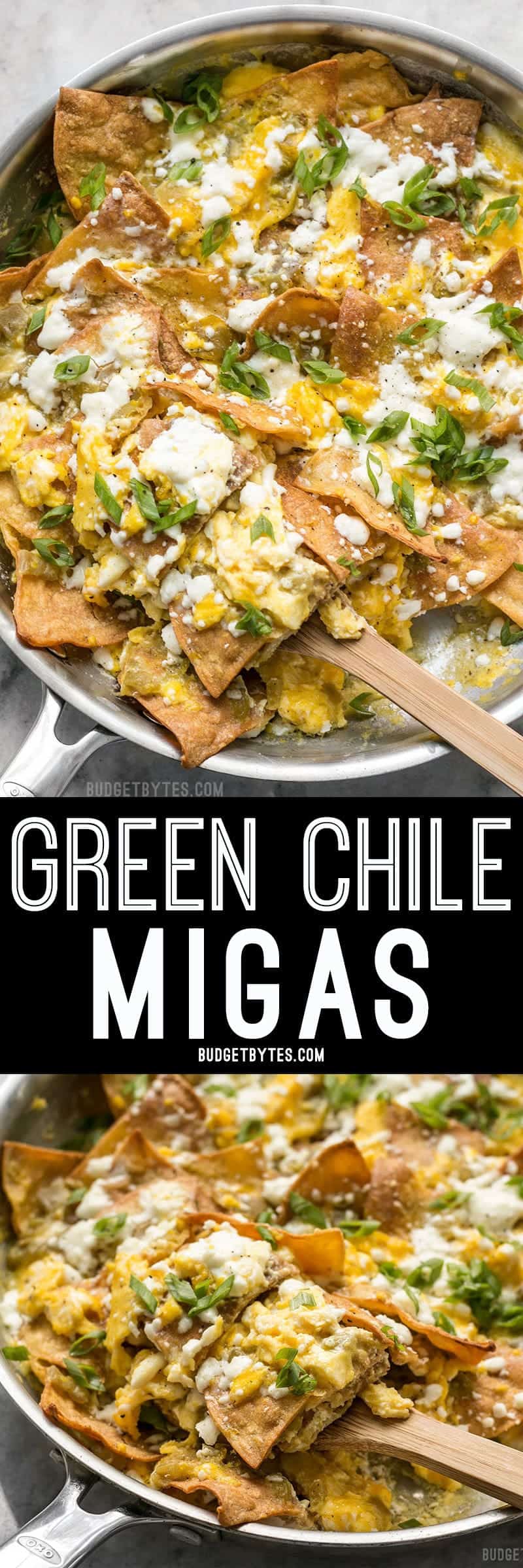 Green Chile Migas is a fast and inexpensive egg dish that is flavorful and filling any time of day, not just for breakfast! BudgetBytes.com