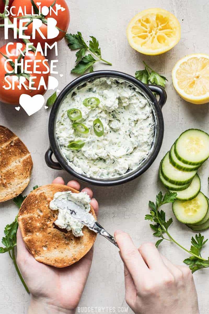 This tangy, herb-infused Scallion Herb Cream Cheese Spread is perfect for sandwiches, wraps, or even snacking on fresh vegetables. BudgetBytes.com