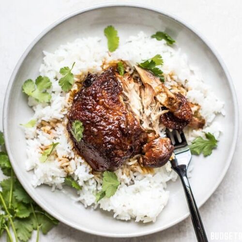 This Honey Hoisin Garlic Chicken from Jessica Gavin’s new cookbook is salty, sweet, and mouth-wateringly tender. BudgetBytes.com