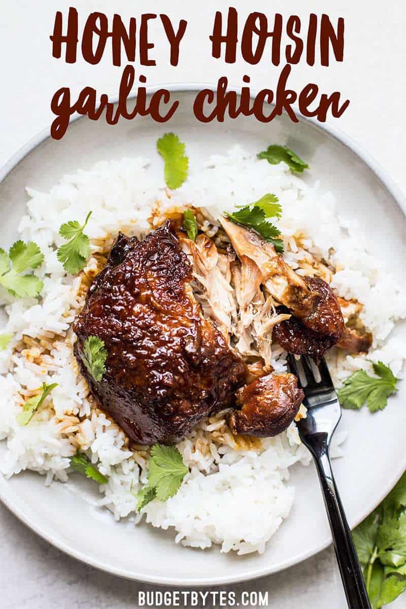 This Honey Hoisin Garlic Chicken from Jessica Gavin’s new cookbook is salty, sweet, and mouth-wateringly tender. BudgetBytes.com