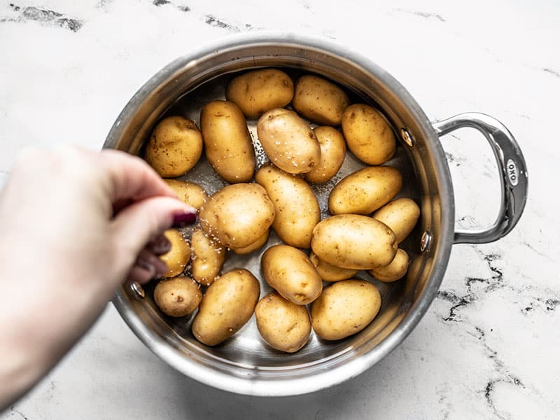 Add potatoes, salt, and water to the pot