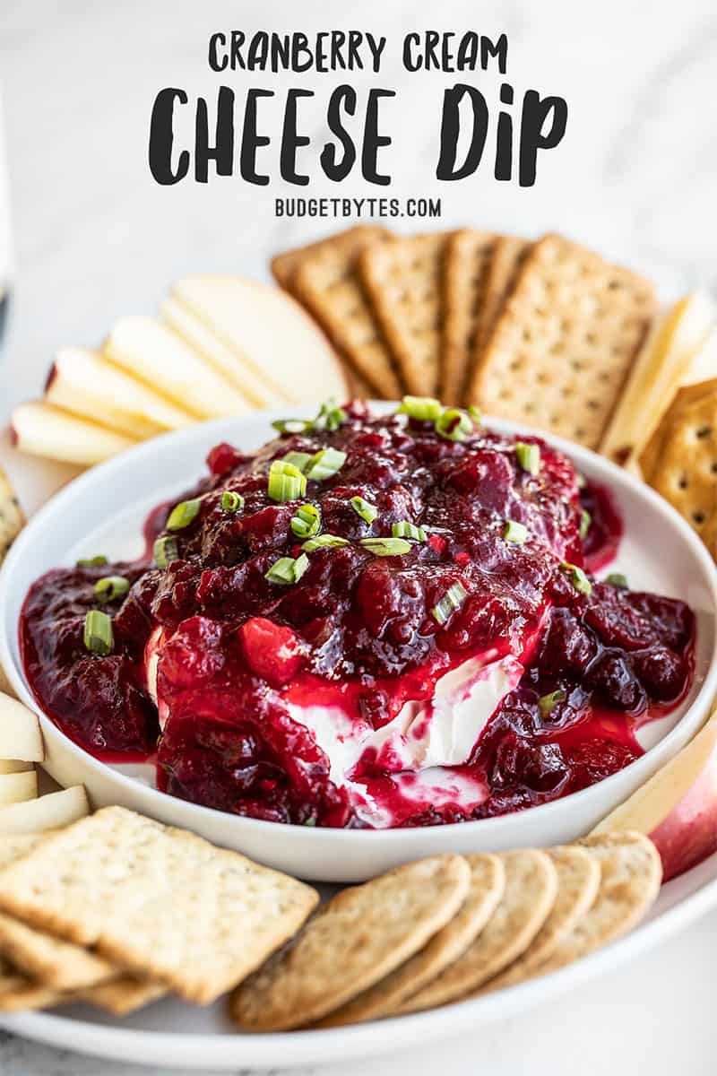 Front view of a cranberry cream cheese dip platter with crackers and apples