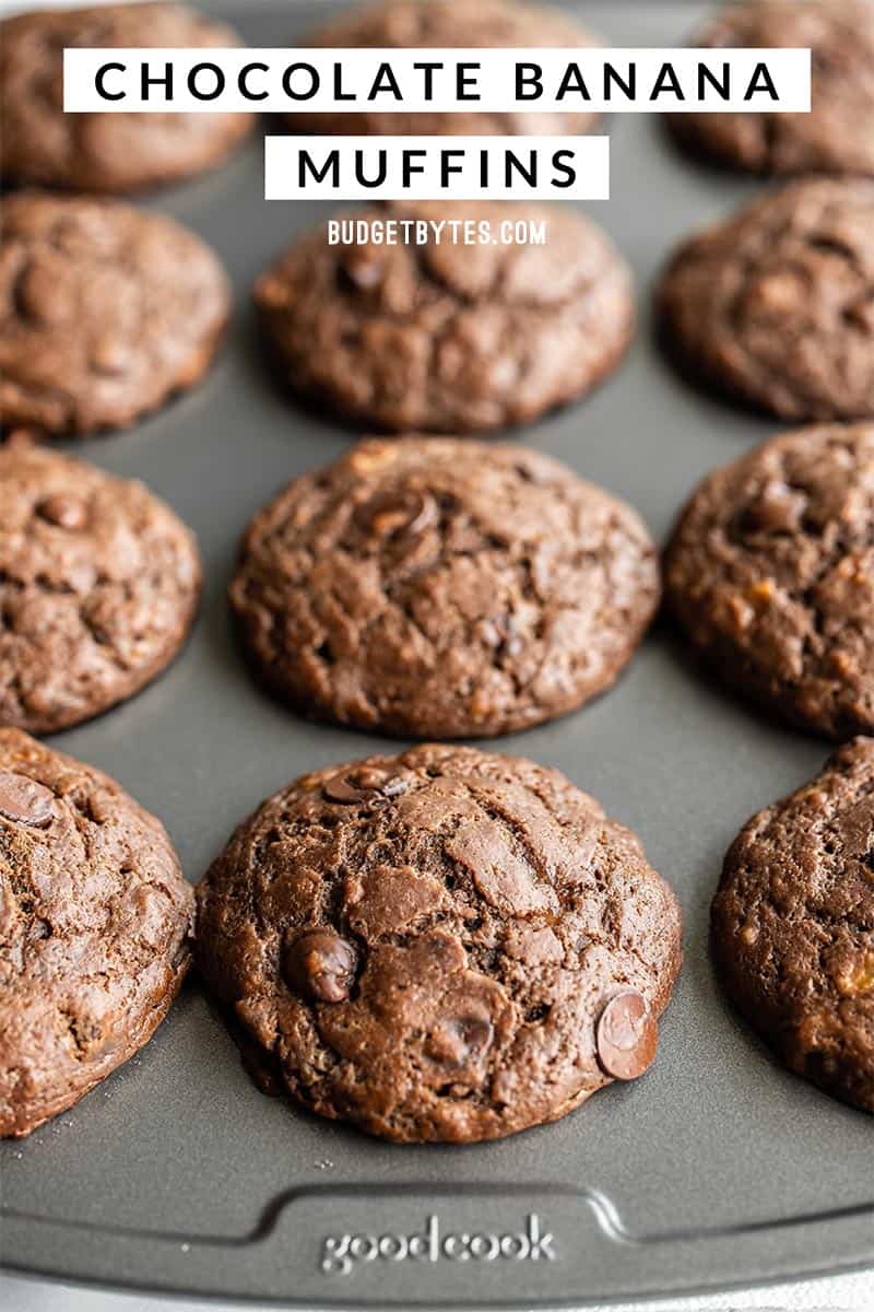 Front view of chocolate banana muffins in the muffin tin